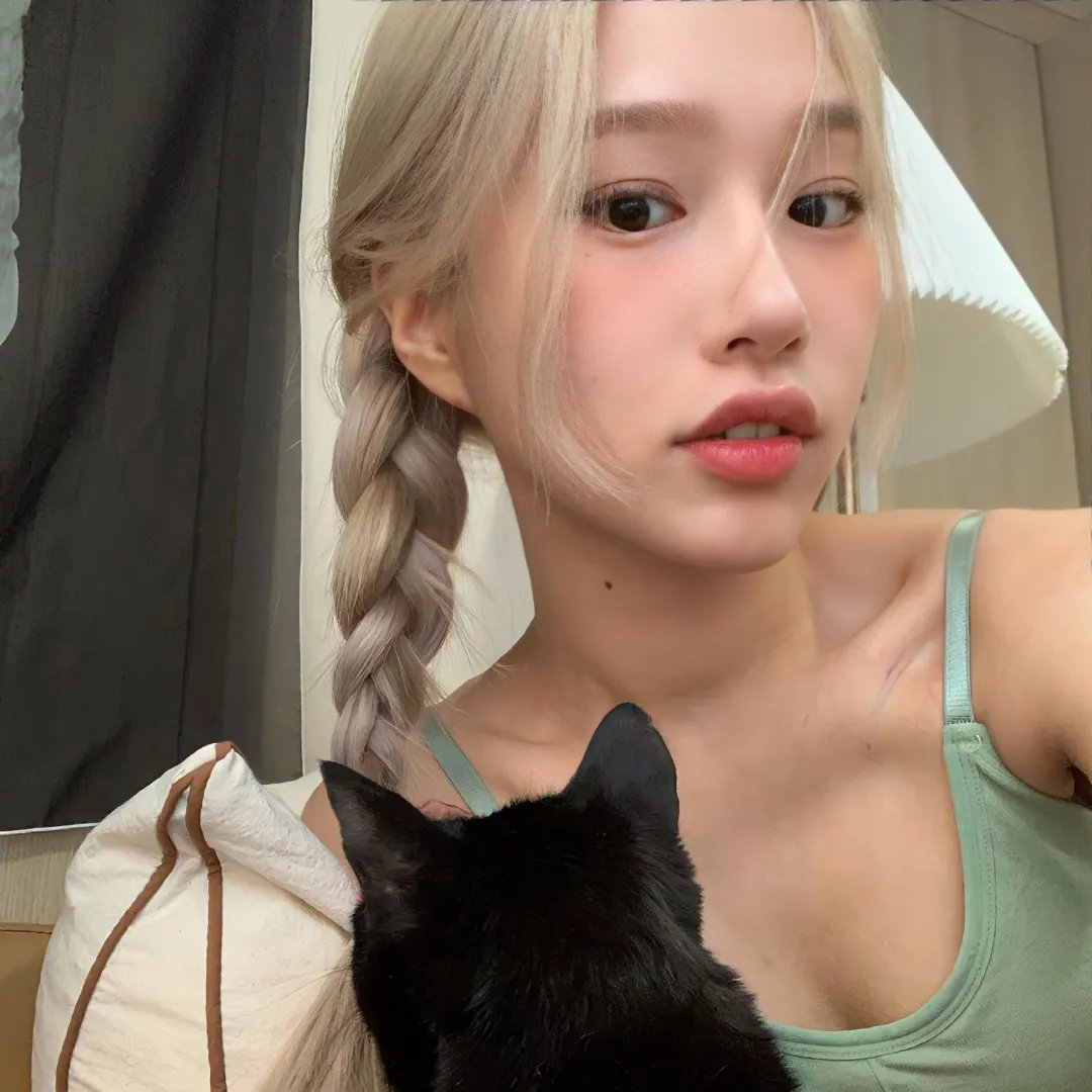 侠盗红狐狸在线观看